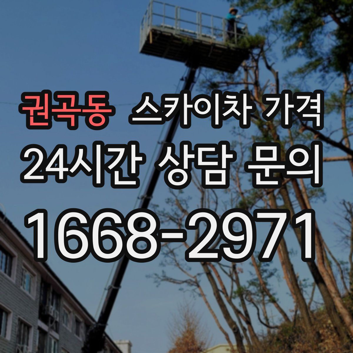 권곡동 스카이차 가격