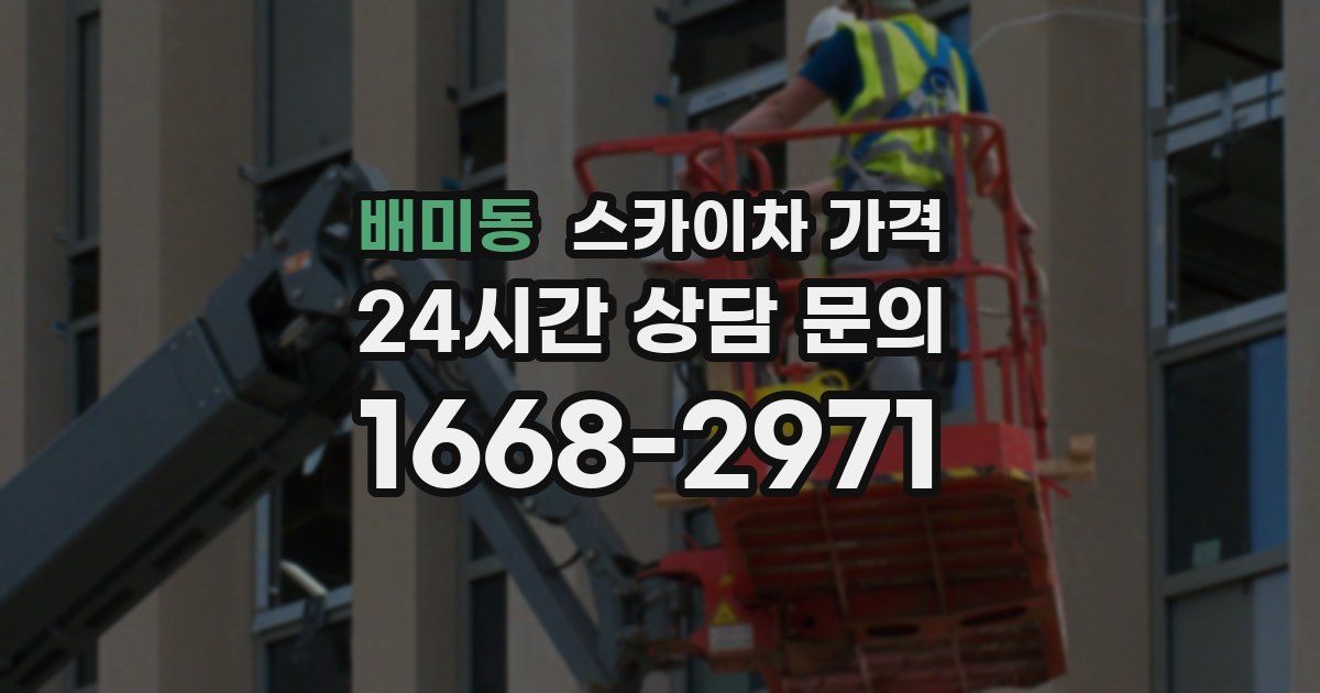 배미동 스카이차 가격