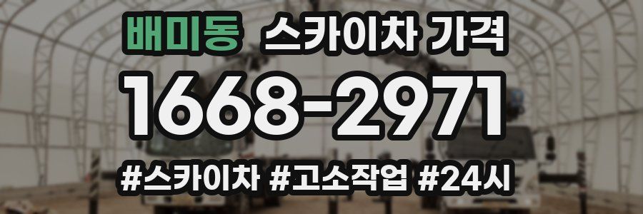 배미동 스카이차 가격