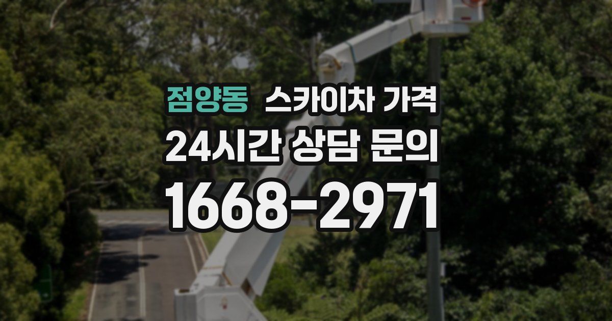 점양동 스카이차 가격