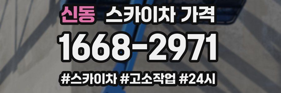 신동 스카이차 가격