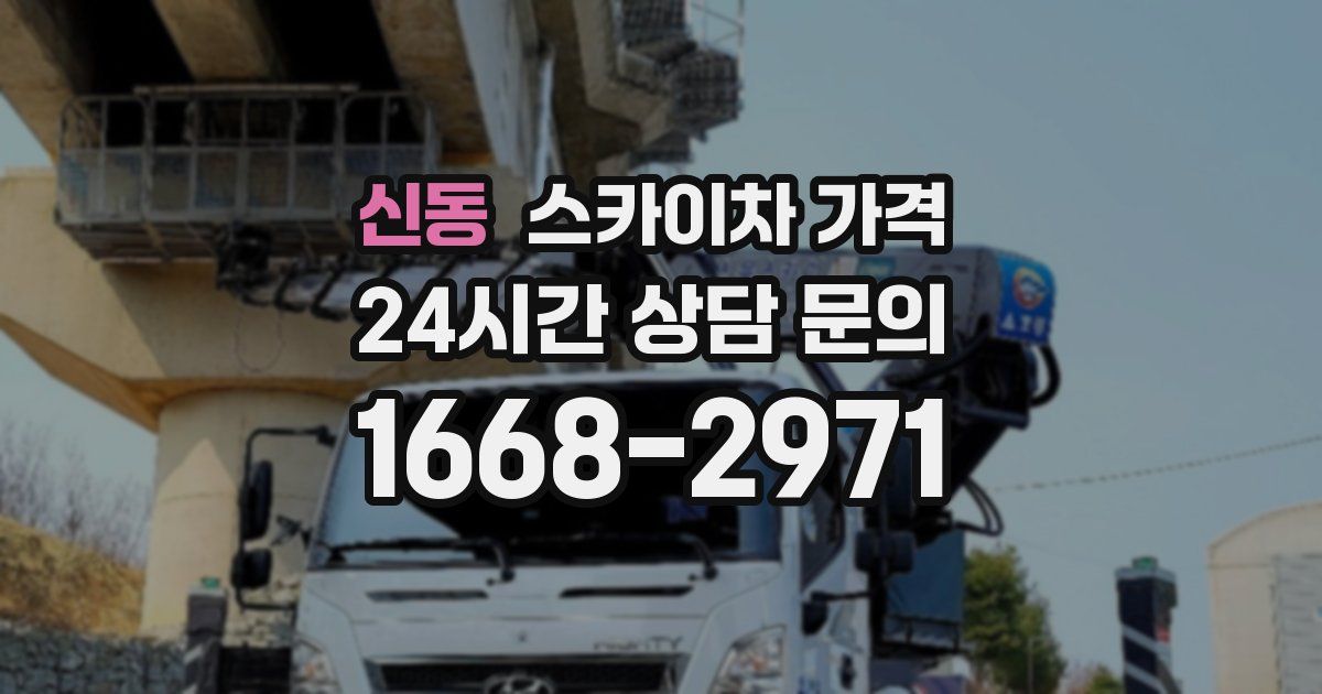 신동 스카이차 가격