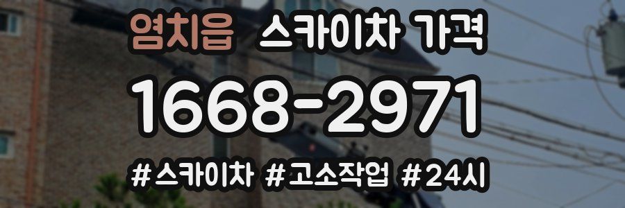 염치읍 스카이차 가격