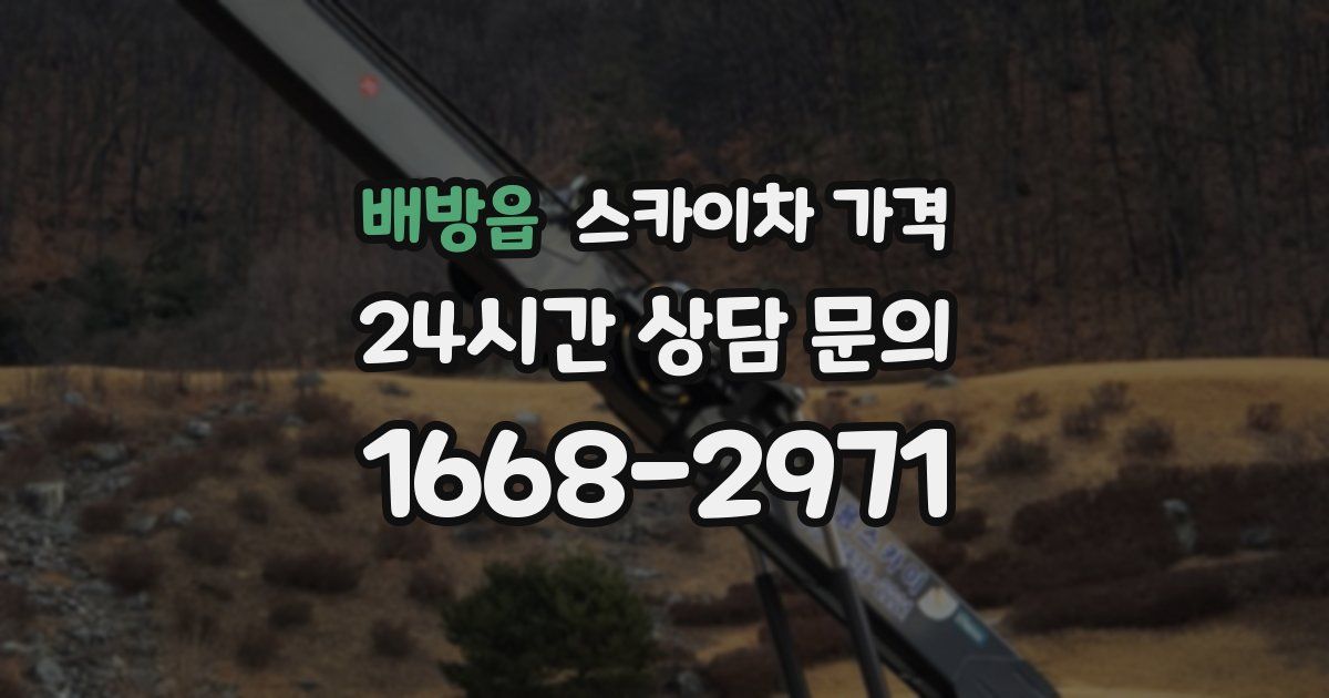 배방읍 스카이차 가격