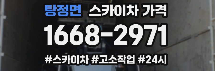 탕정면 스카이차 가격