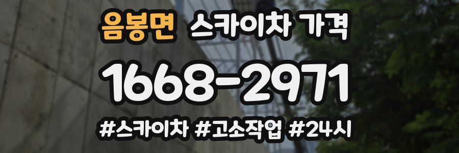 음봉면 스카이차 가격