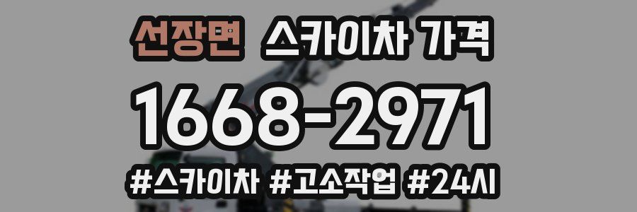 선장면 스카이차 가격