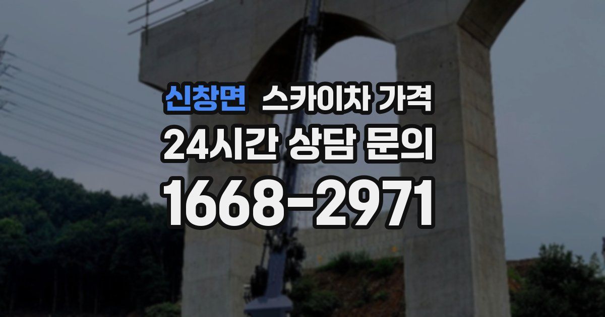 신창면 스카이차 가격