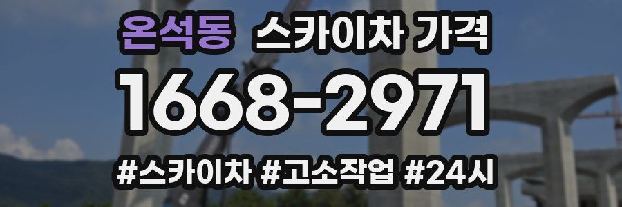 온석동 스카이차 가격