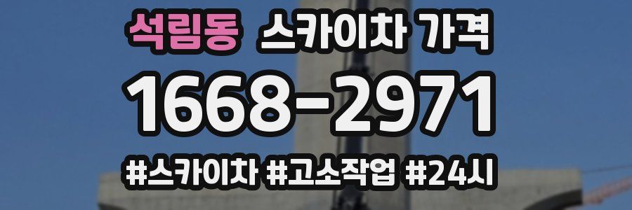 석림동 스카이차 가격