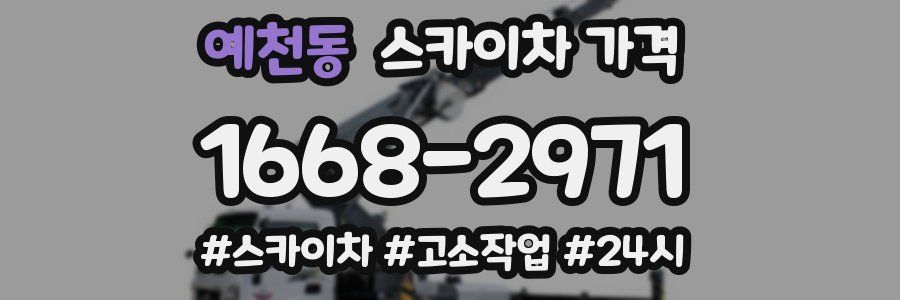 예천동 스카이차 가격