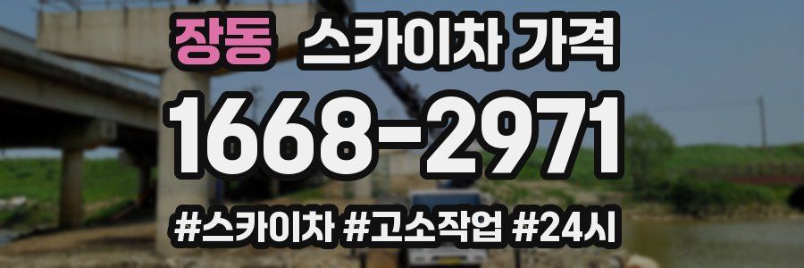 장동 스카이차 가격