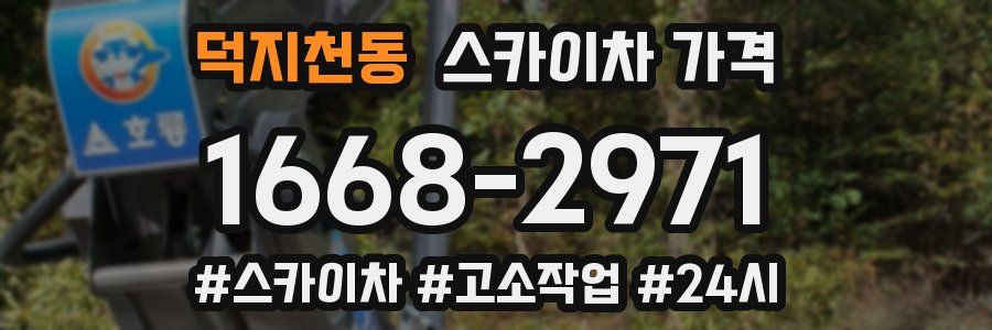 덕지천동 스카이차 가격