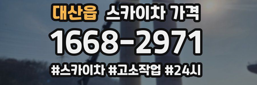 대산읍 스카이차 가격