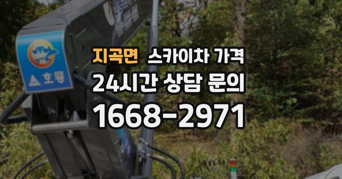 지곡면 스카이차 가격