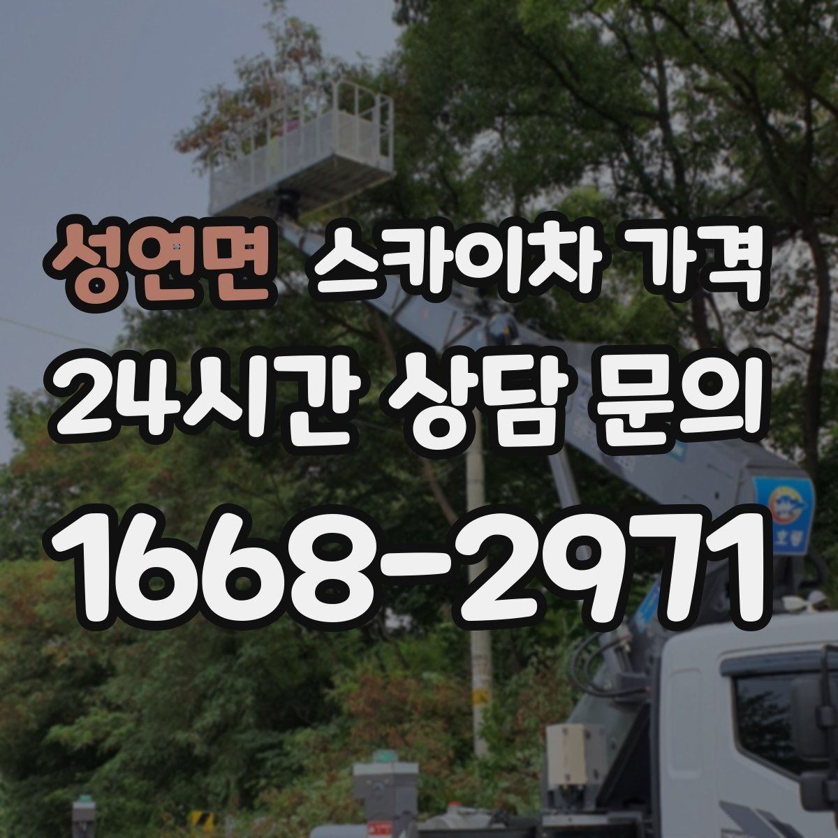 성연면 스카이차 가격 크리스마스 조명 설치는 무엇이 변수가 될까
