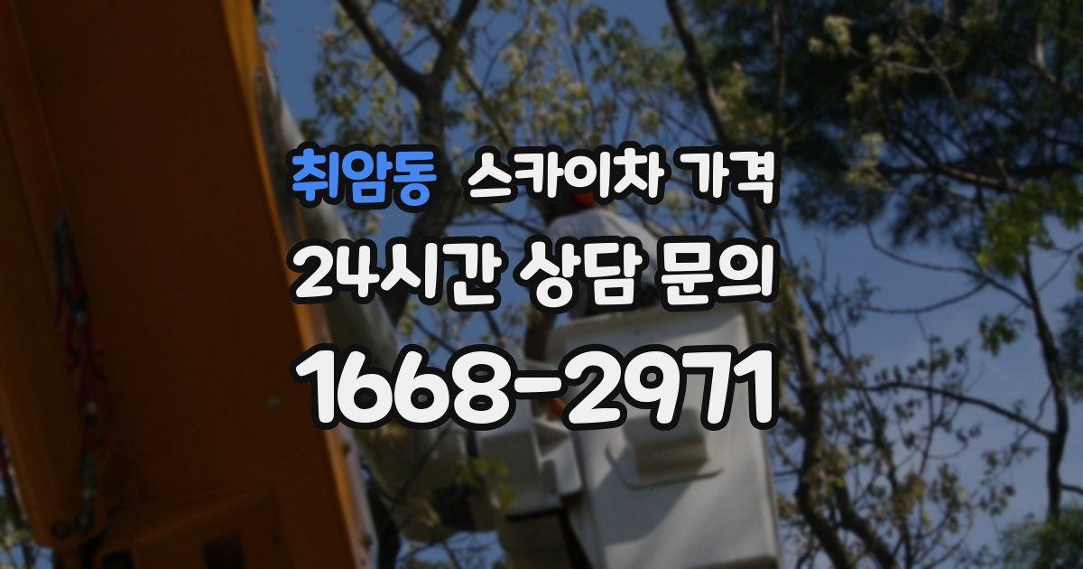 취암동 스카이차 가격