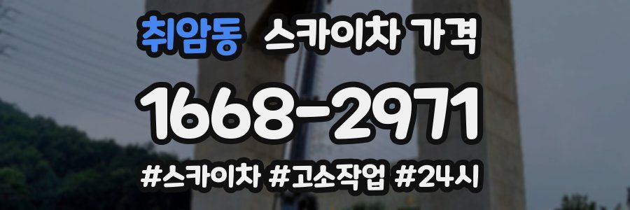 취암동 스카이차 가격