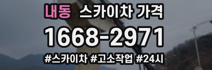 내동 스카이차 가격