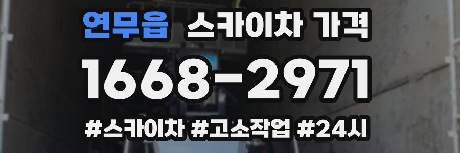 연무읍 스카이차 가격