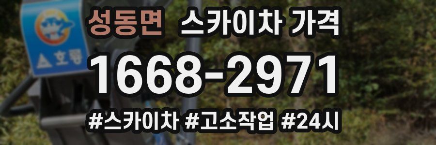 성동면 스카이차 가격