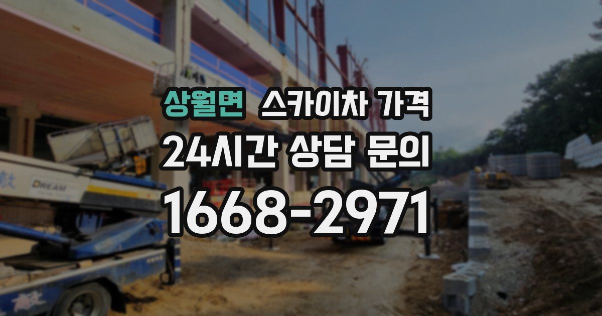 상월면 스카이차 가격