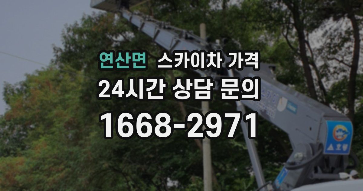 연산면 스카이차 가격