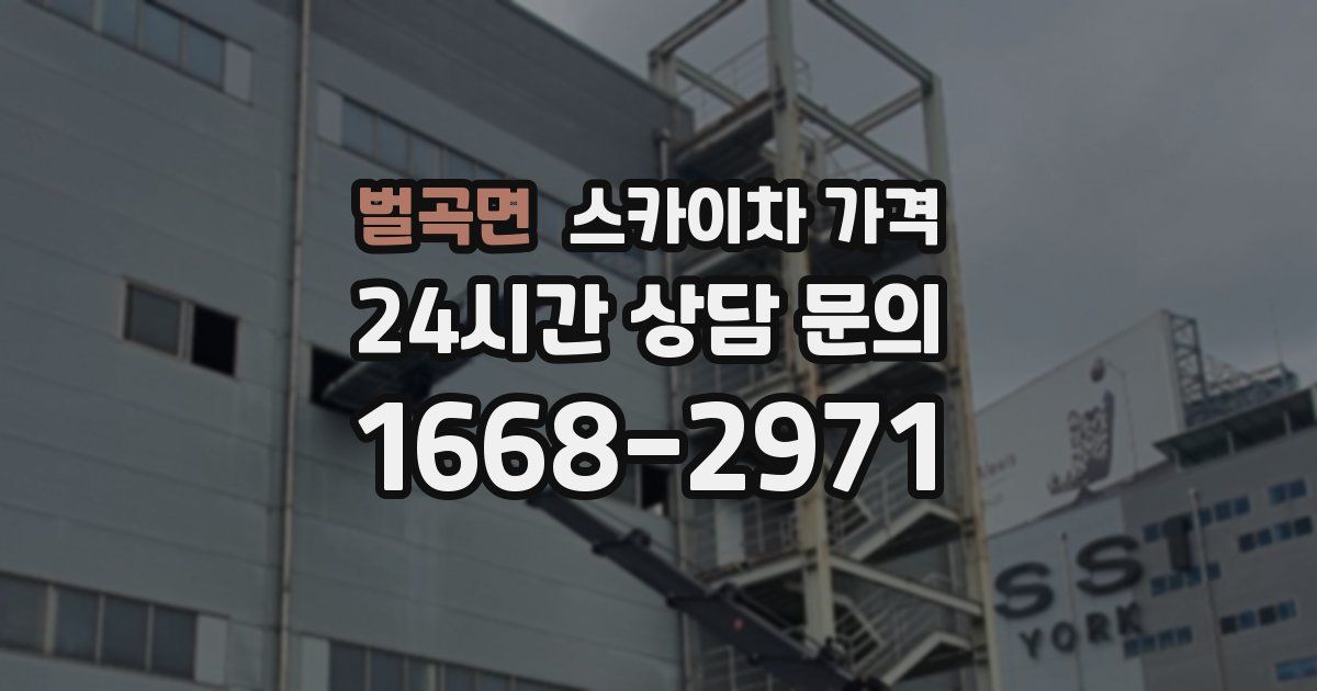 벌곡면 스카이차 가격