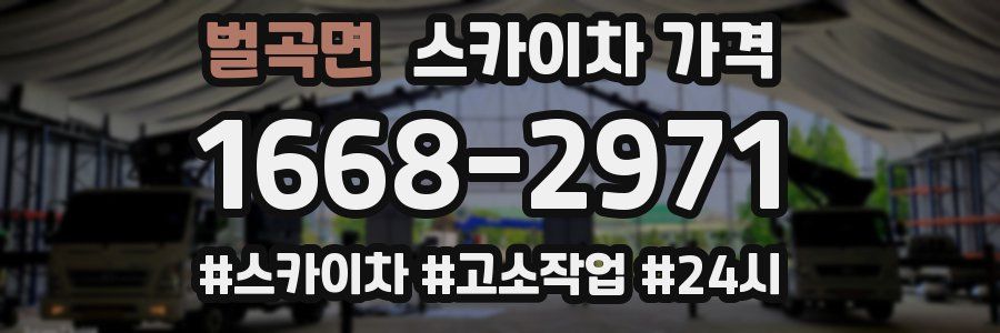 벌곡면 스카이차 가격