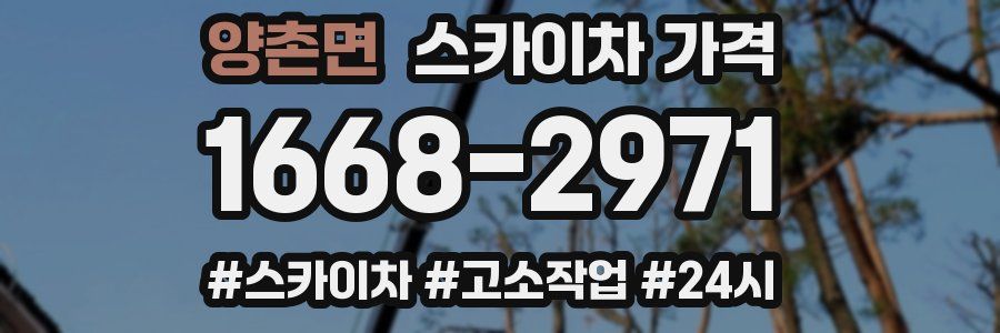 양촌면 스카이차 가격