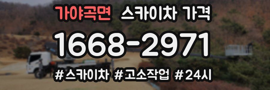 가야곡면 스카이차 가격