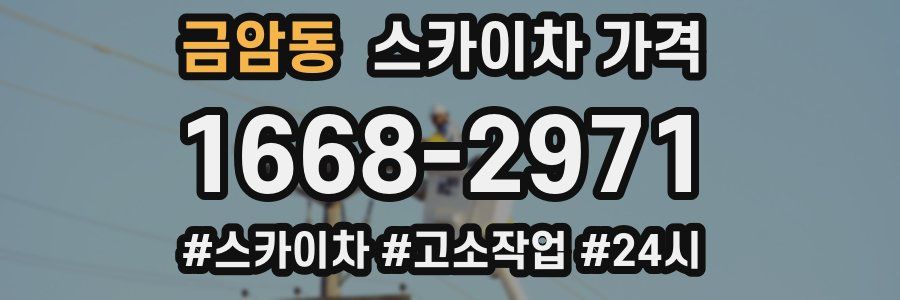 금암동 스카이차 가격