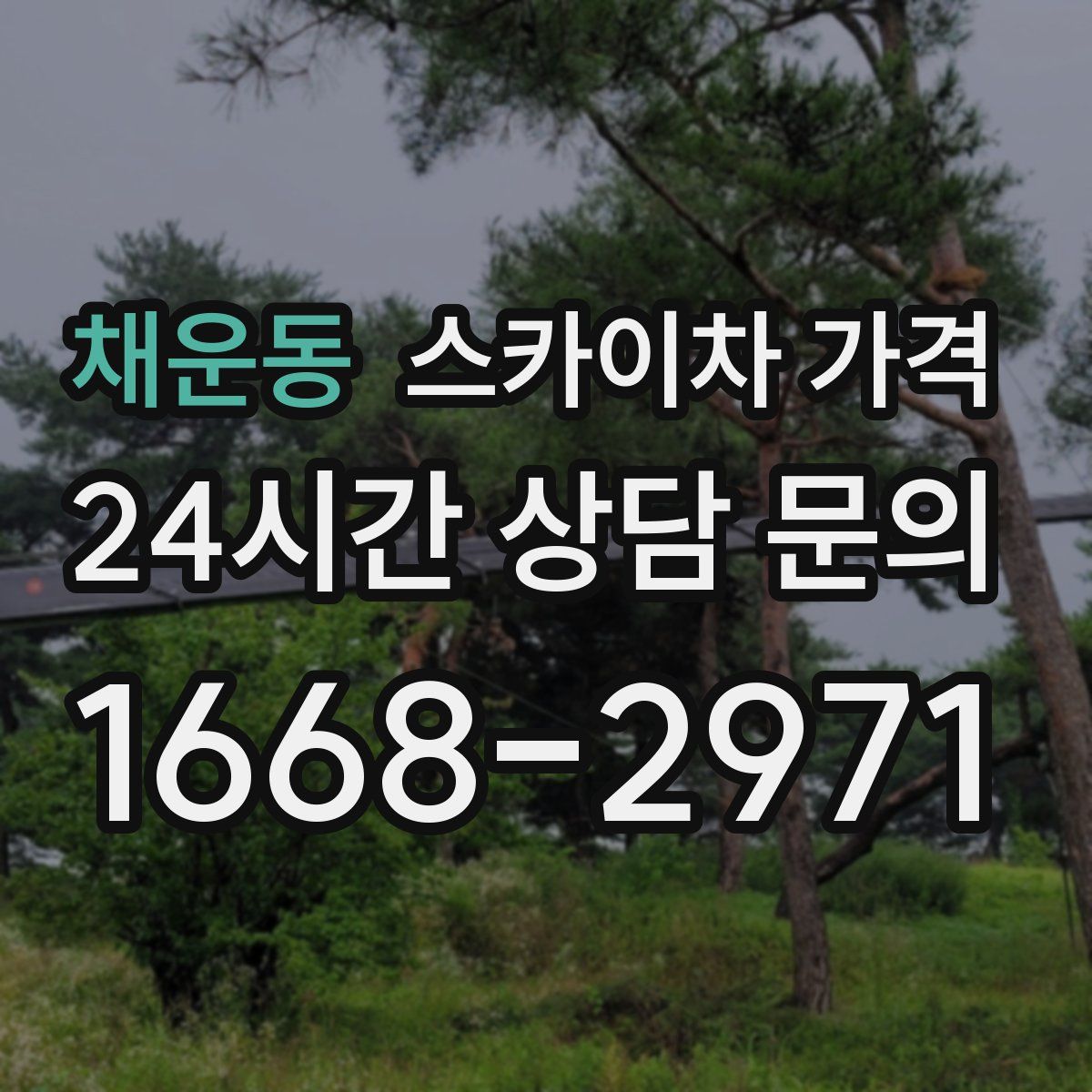 채운동 스카이차 가격