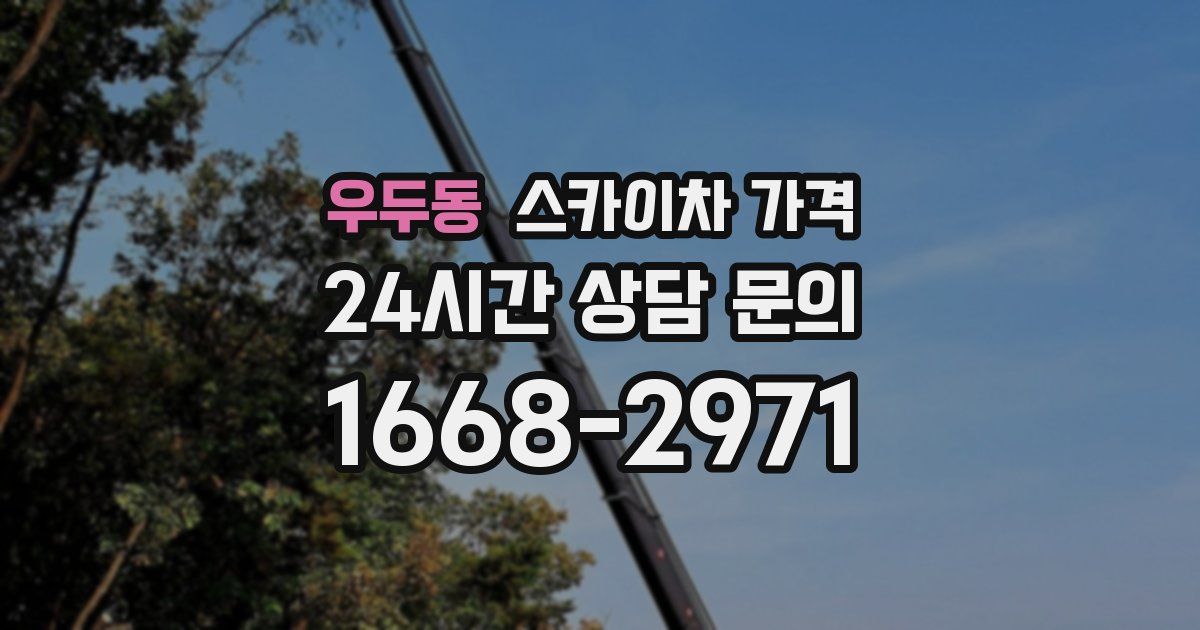 우두동 스카이차 가격