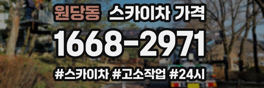 원당동 스카이차 가격