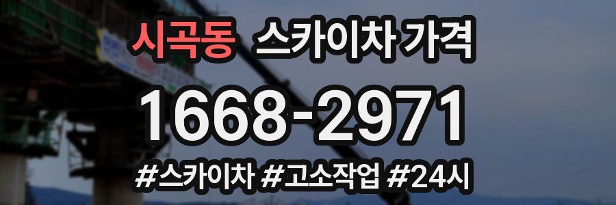 시곡동 스카이차 가격