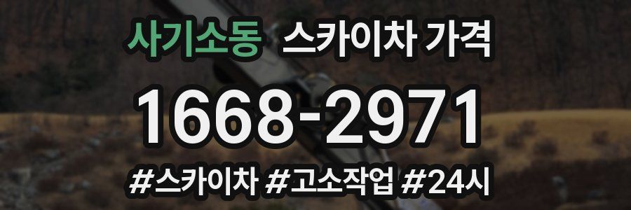 사기소동 스카이차 가격