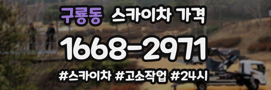 구룡동 스카이차 가격