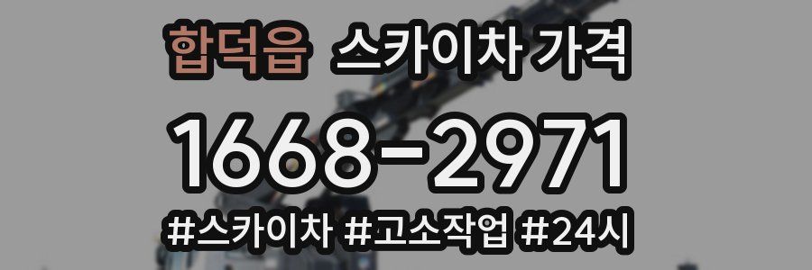 합덕읍 스카이차 가격