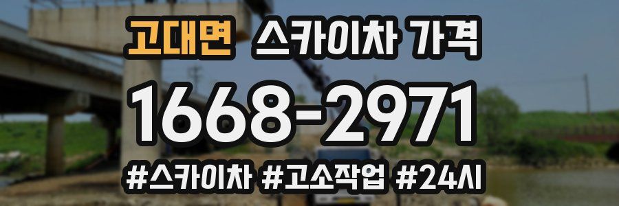 고대면 스카이차 가격