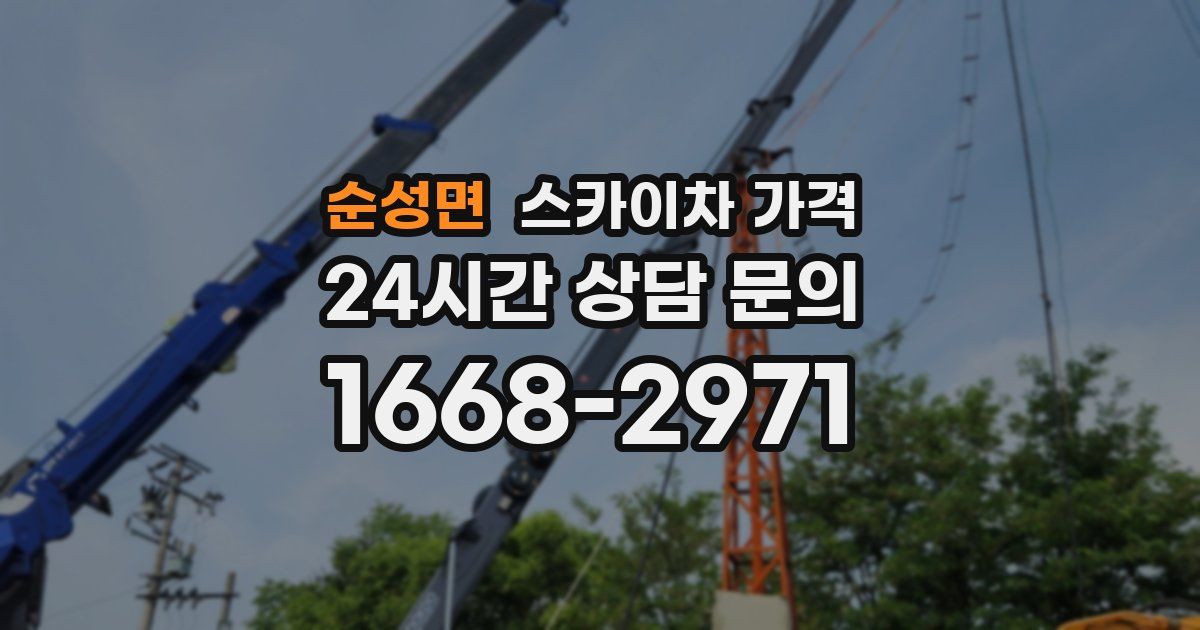 순성면 스카이차 가격