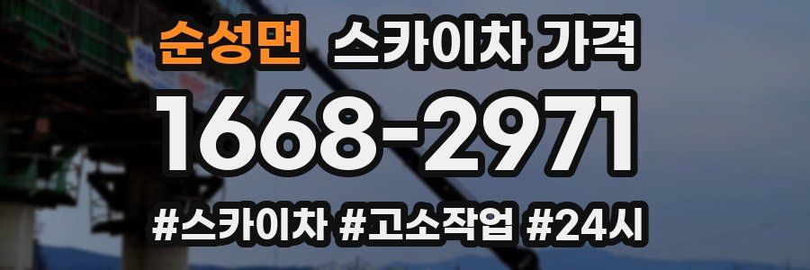 순성면 스카이차 가격