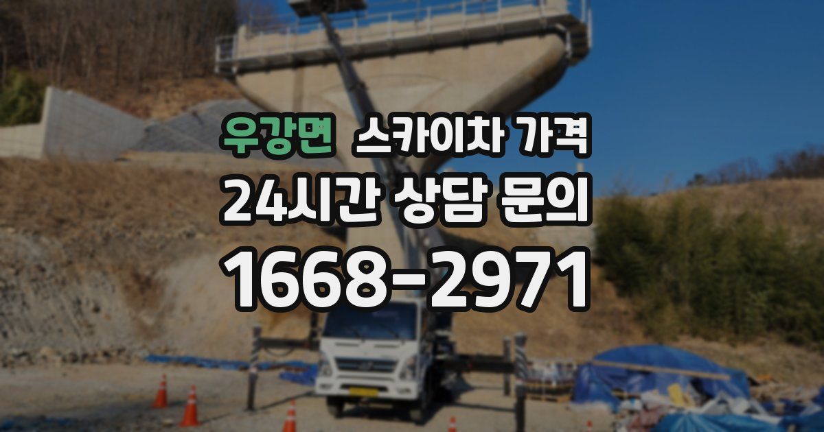 우강면 스카이차 가격