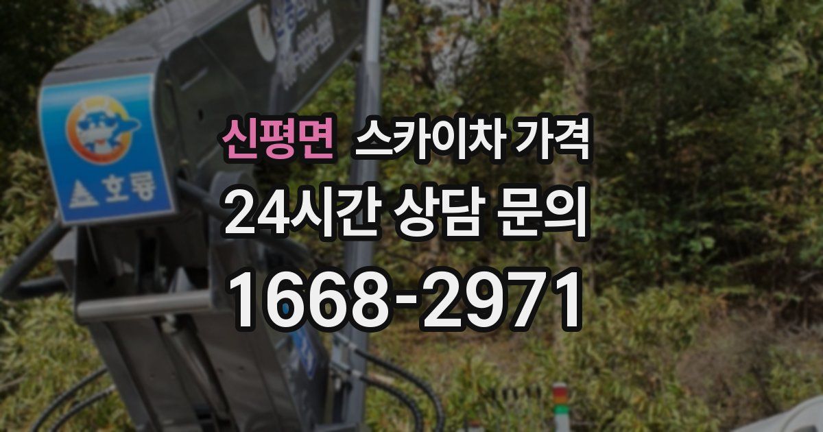 신평면 스카이차 가격