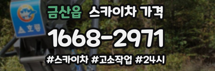 금산읍 스카이차 가격