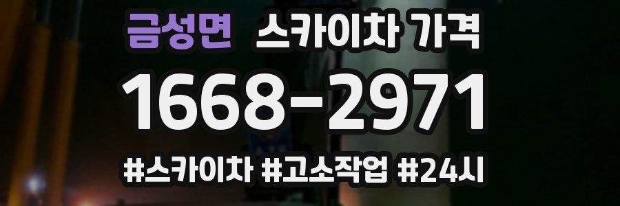 금성면 스카이차 가격