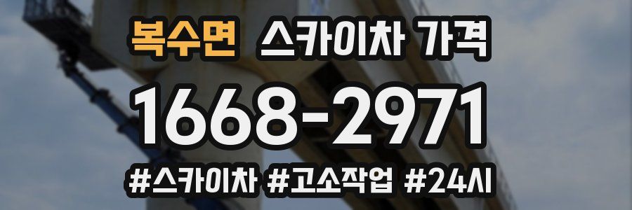 복수면 스카이차 가격