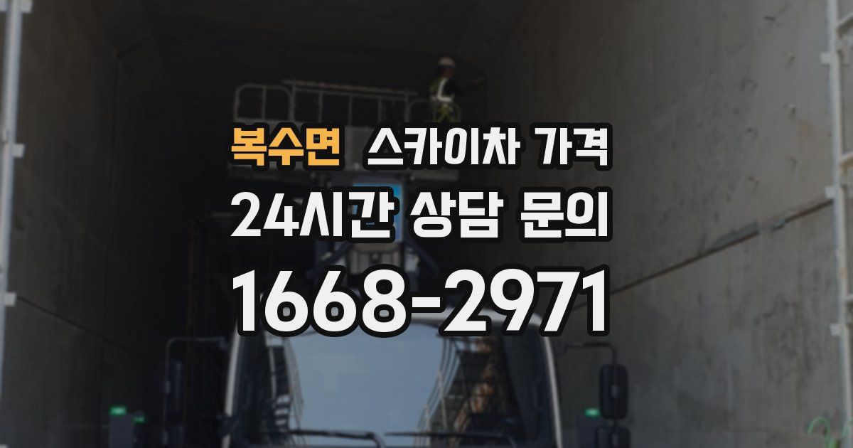 복수면 스카이차 가격