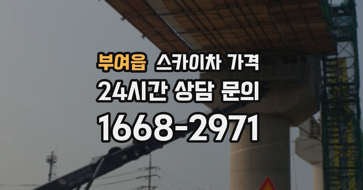 부여읍 스카이차 가격