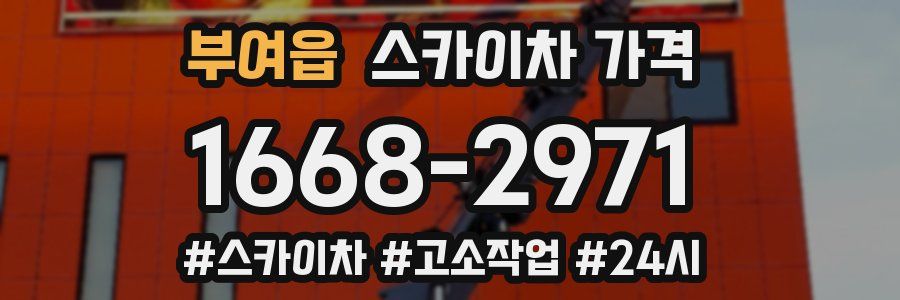 부여읍 스카이차 가격